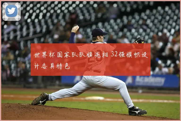 世界杯国家队队旗亮相 32强旗帜设计各具特色